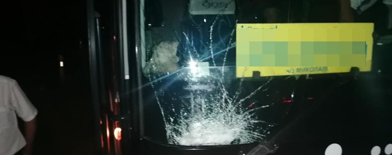 На трасі Київ-Одеса водій автобуса збив лося
