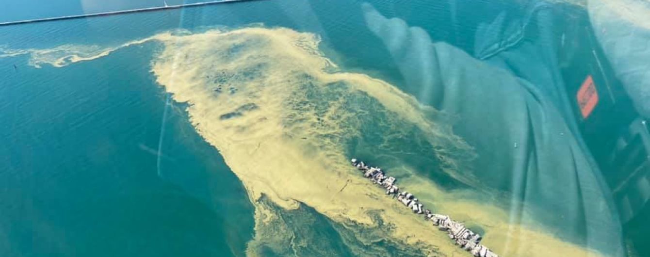 "Вода внезапно сгустилась, как кисель": экологи призвали не купаться в море на пляжах Одессы