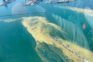 "Вода раптово згустилася, як кисіль": екологи закликали не купатися в морі на пляжах Одеси