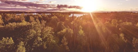 5 июля 2020 года: какой сегодня праздник, приметы и День ангела