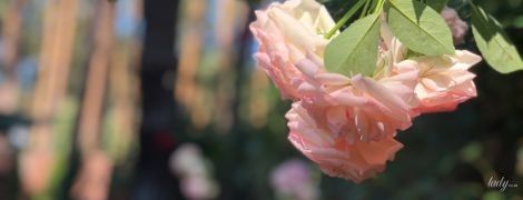Гороскоп на 8 июля для всех знаков Зодиака: день лени, пассивности и безразличия