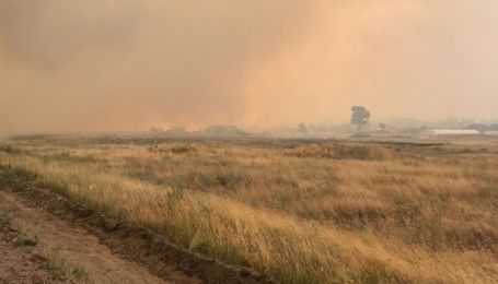 Майже всі загиблі через лісову пожежу у Луганській області задихнулися - поліція