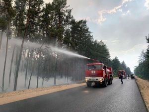 Внаслідок масштабної пожежі в Луганській області постраждали 17 дітей