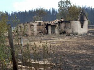 "Люди остались жить в сарае": жители горящего села Луганской области отказались от эвакуации