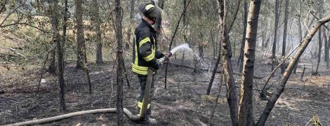 Смертоносна пожежа у Луганській області: відкритого вогню немає, лише три осередки тління