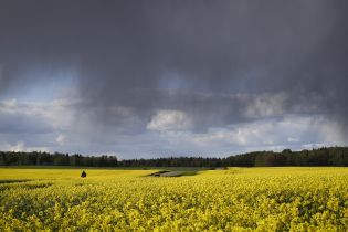 Синоптики оголосили штормове попередження на вихідні