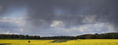 Половину України в понеділок накриють грози - синоптики про погоду на 10 серпня