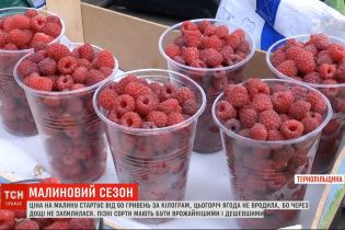 Сезон малини: який в Україні урожай та які ціни на ягоду