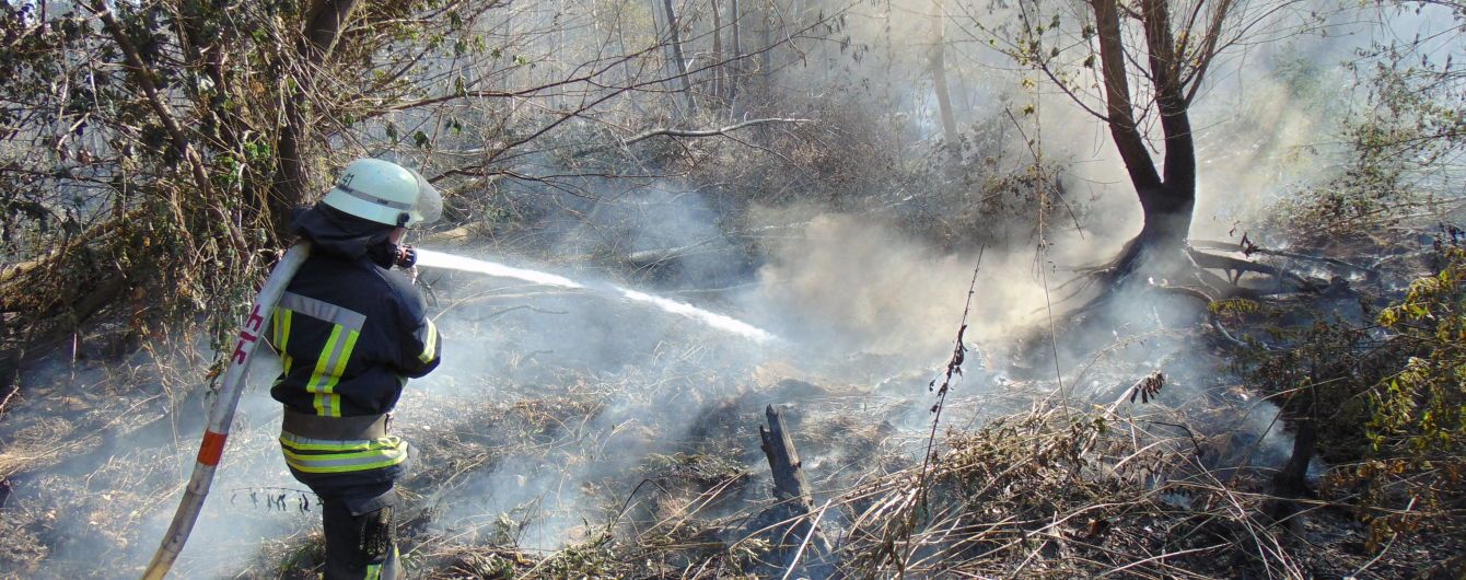 В Луганской области загорелась трава: пожарные локализовали пожар