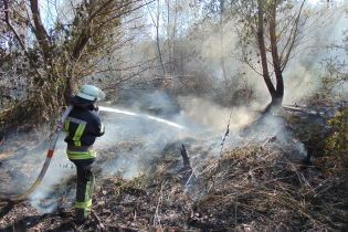 У Луганській області продовжують гасити лісову пожежу: деревина тліє на окремих ділянках