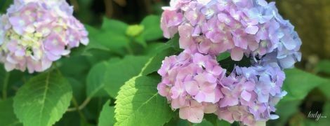 Гороскоп на 16 липня для всіх знаків зодіаку: день, коли потрібно дати собі відпочити