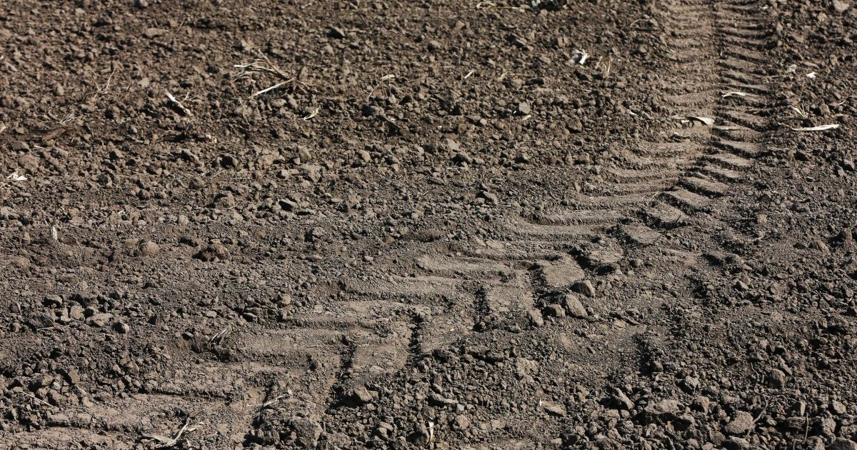 Під Чернівцями під колесами трактора загинула 9-річна дівчинка