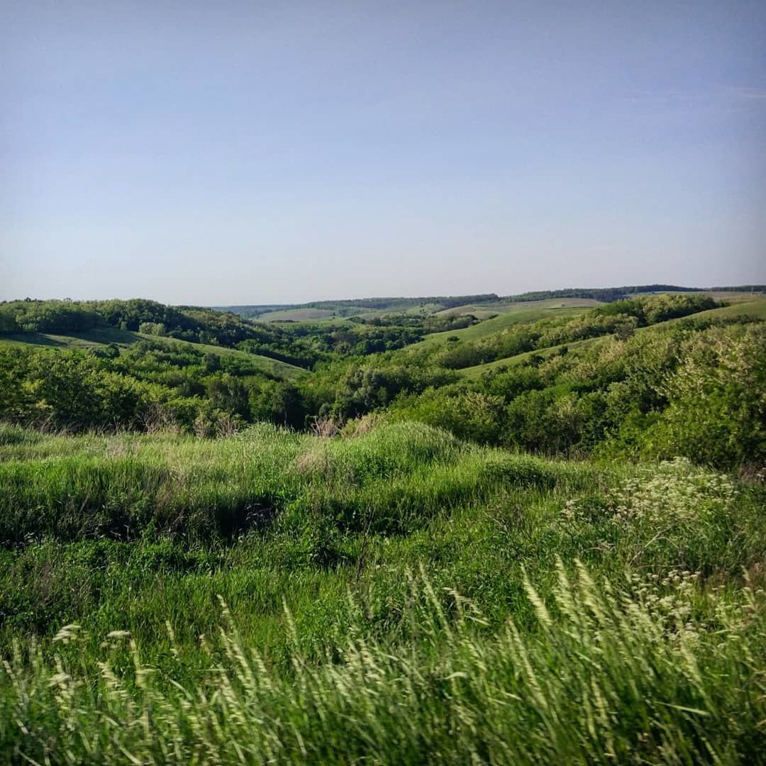 трахтемирів 4