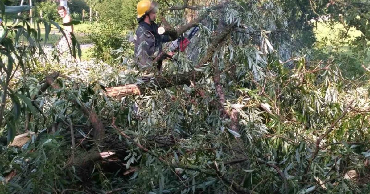 Ивано-Франковск считает убытки: ливень затопил улицы и подъезды, сильный ветер ломал деревья и срывал крыши