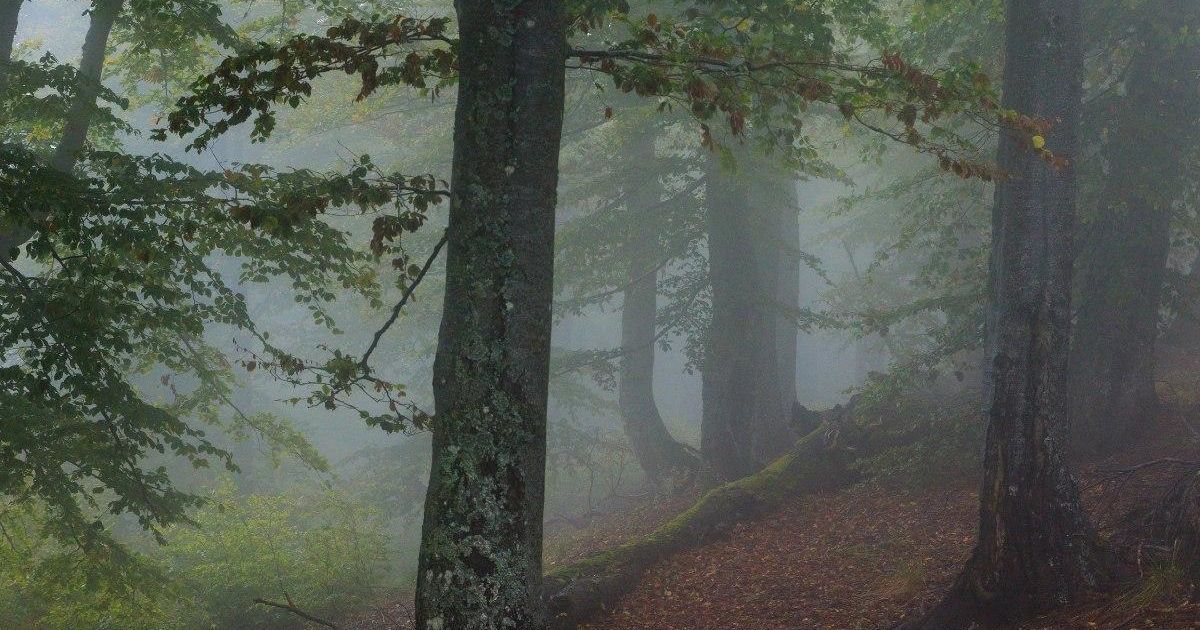 В Карпатах погиб турист, который поднимался по горе Стрымба