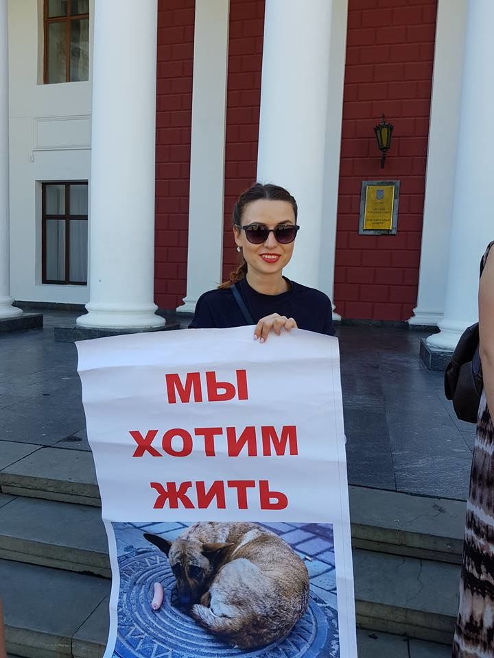 Волонтерка зоозахисниця Діана Количева