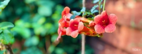 Гороскоп на 10 августа для всех знаков Зодиака: день честности и удачных финансовых сделок