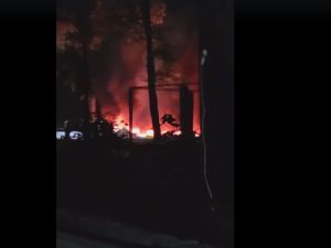 В Ужгороде возник масштабный пожар в парке: появилось видео