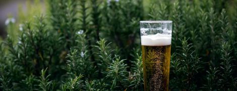 Міжнародний день пива: що за свято, де святкують та історія напою