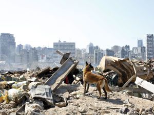 Взрывы в Берйруте: 56 украинцев обратились в МИД за помощью