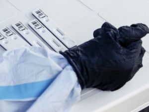 Три многолюдные свадьбы отправили в "красную" зону карантина целый район на Буковине