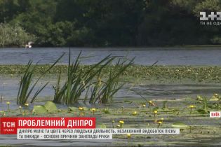Проблемний Дніпро: річка вкрилася піщаними мілинами
