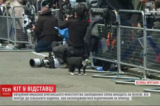 Кіт у відставці: офіційний мишолов британського МЗС виходить на пенсію