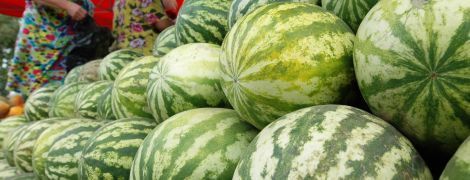 В Україні від початку тижня подешевшали кавуни: скільки коштує смугаста ягода