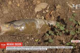 Українські військові розміновують ділянки біля населених пунктів