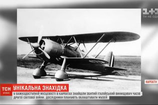 У Карпатах знайшли збитий італійський винищувач часів Другої Світової