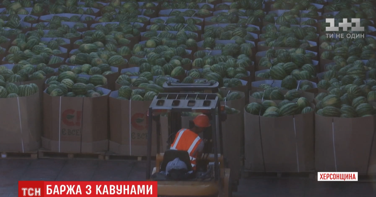 До Києва вирушила баржа із 300 тоннами херсонських кавунів: коли можна буде купити та за скільки