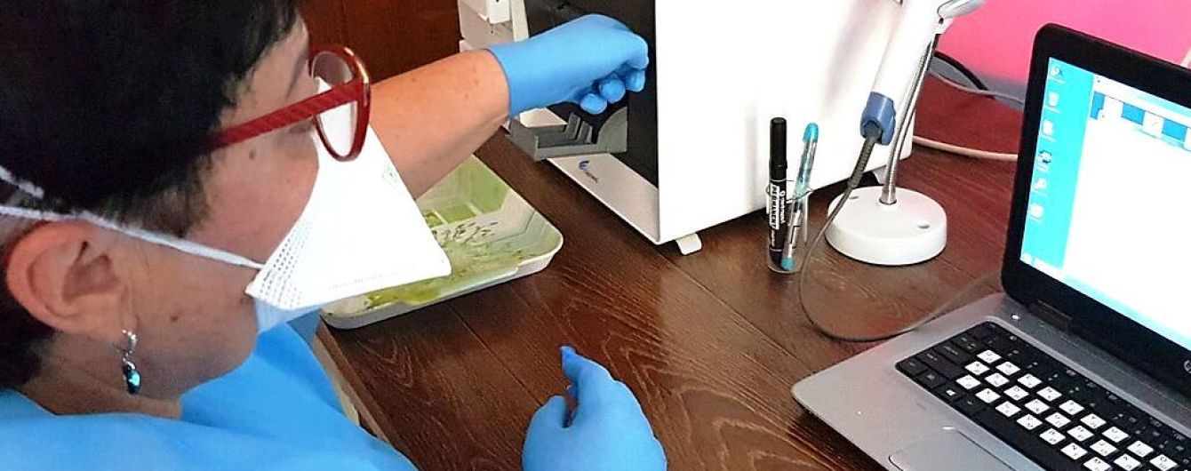 У курортному містечку в Запорізькій області у двох школах виявили коронавірус