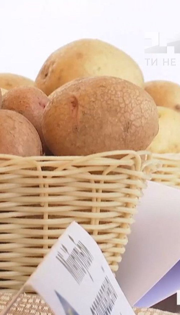 Через засуху фермери почнуть копати картоплю на два тижні пізніше