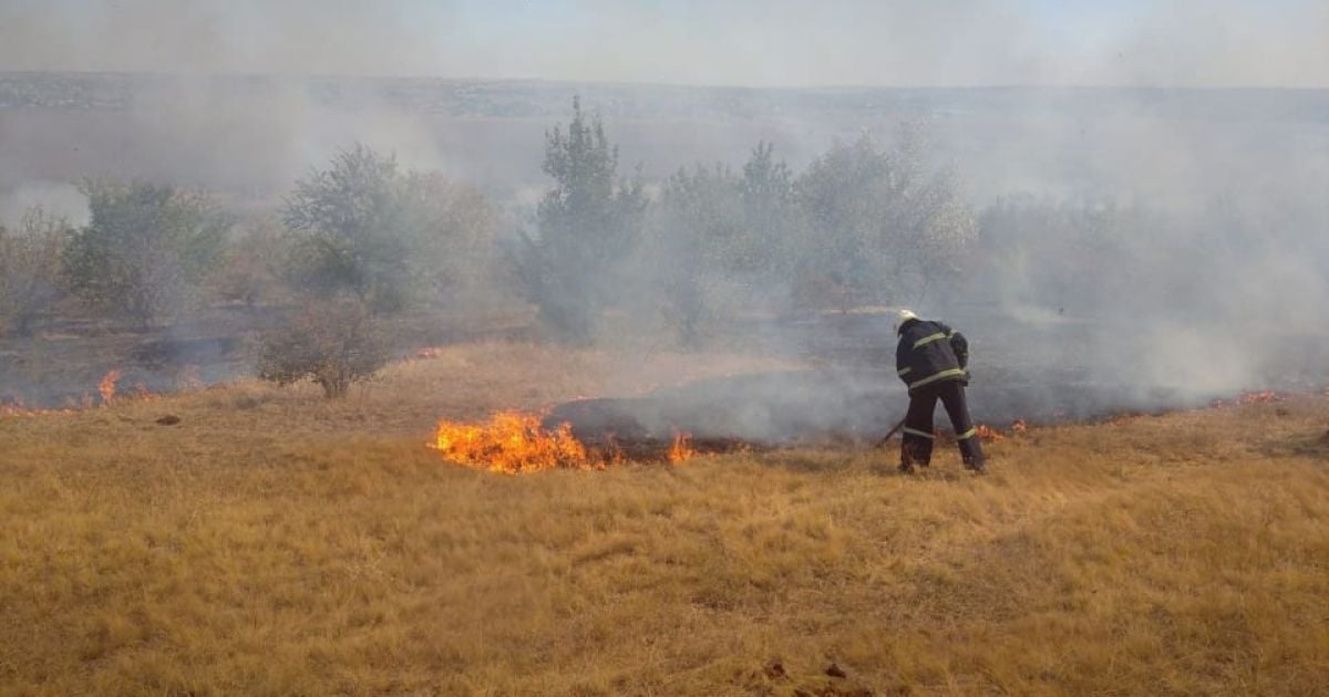 У Миколаївській області масштабна пожежа: з'явились фото