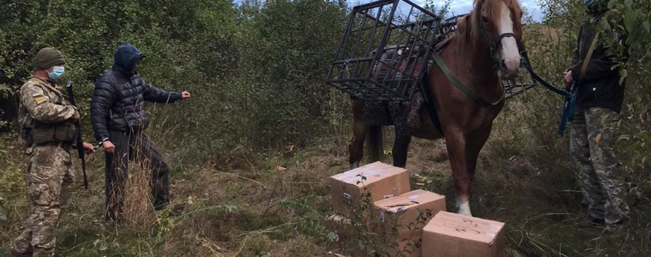 У Харківській області прикордонники пострілами з автомата зупиняли контрабандиста на коні (відео)