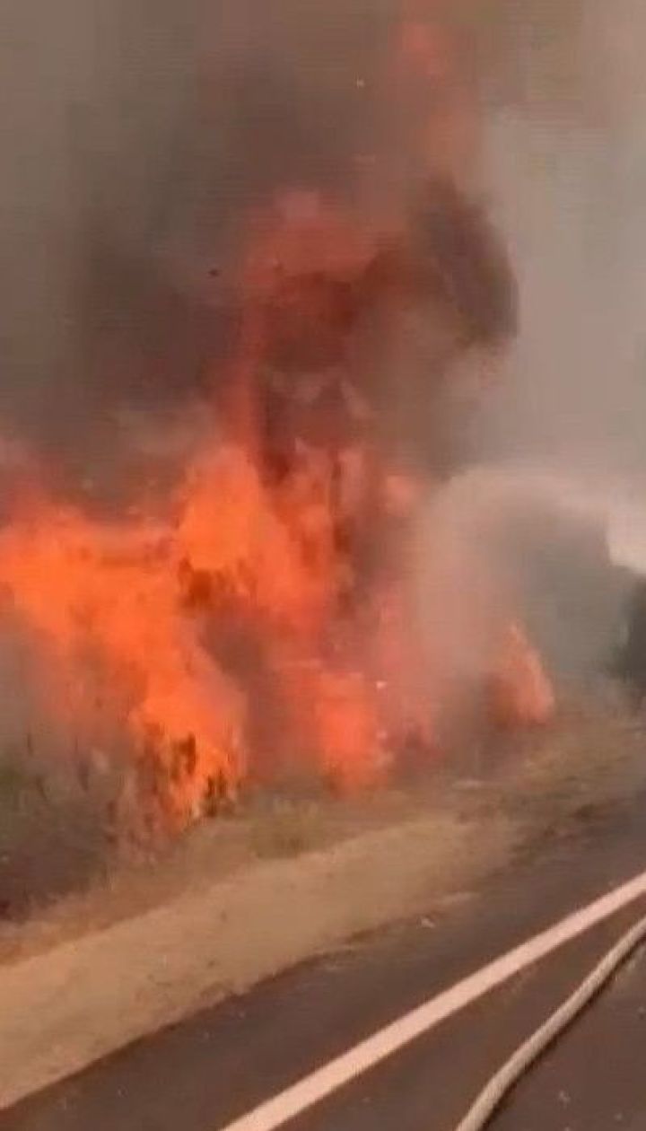 Площадь пожаров в Калифорнии побила исторические показатели