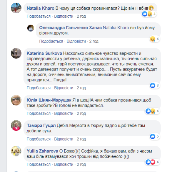 Вбивстов собаки у Львові