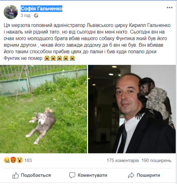 Вбивство собаки у Львові