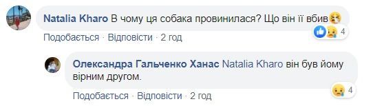 нібито вбитий собака у Львові