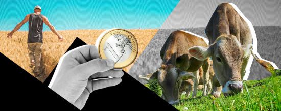 Тысячи жителей Финляндии получали деньги "просто так": спецпроект ТСН выяснил, помог ли эксперимент разбогатеть людям