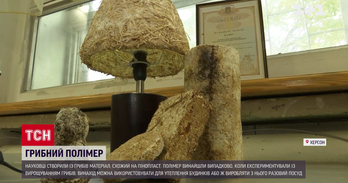Херсонські науковці створили пластик з грибів: чим унікальний матеріал