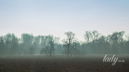 Весняний пейзаж