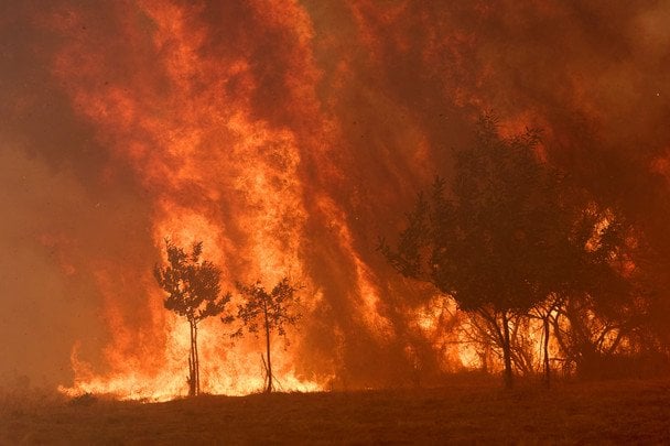 Испания переживает самый большой лесной пожар в истории / © Associated Press