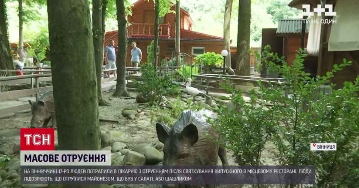 Масове отруєння у Вінницькій області: власник кафе перепросив і нарікає на псування продуктів у спеку