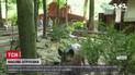 Масове отруєння у Вінницькій області: власник кафе перепросив і нарікає на псування продуктів у спеку