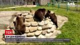 Новости Украины: во Львовской области в медвежий приют "Домажир" привезли еще трех косолапых
