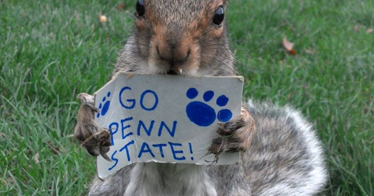 Белка-модница Снизи / © Sneezy The Penn State Squirrel / Facebook