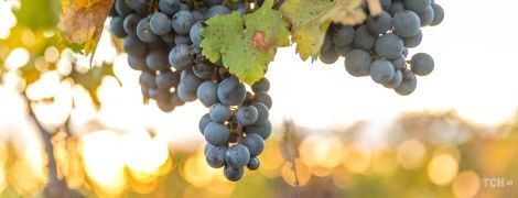 Гороскоп на 20 вересня для всіх знаків зодіаку: день скиглення і поганого настрою