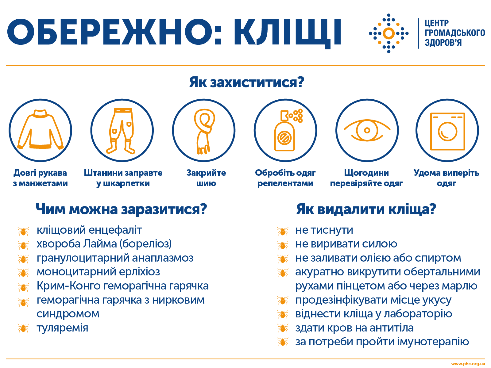 інфографіка кліщі
