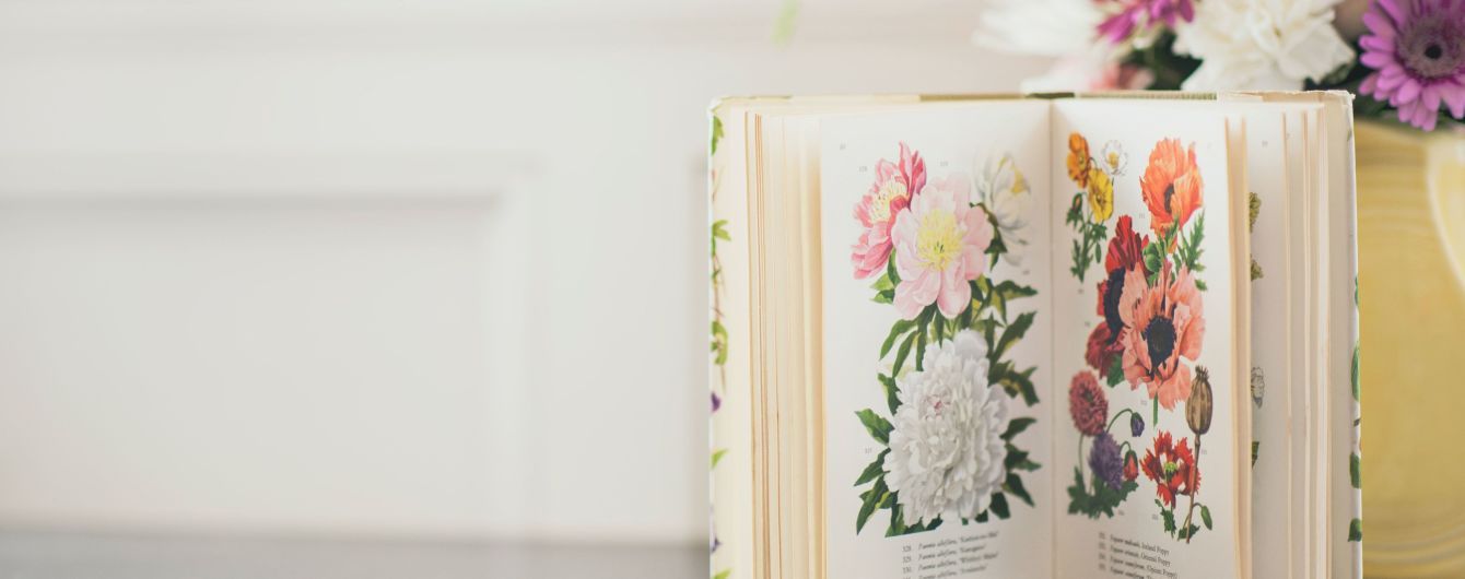 Скандал з "Книгарнею Є": наскільки українським книжкам загрожує російське книговидавництво